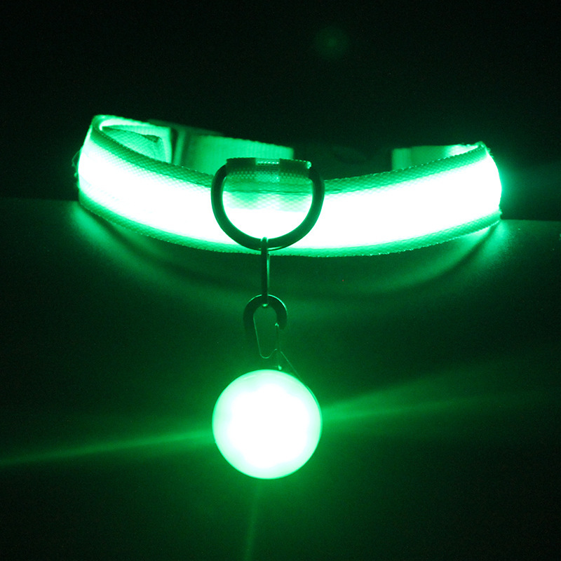 Collar para perro LED Reflectante